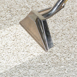 carpet-clean-home